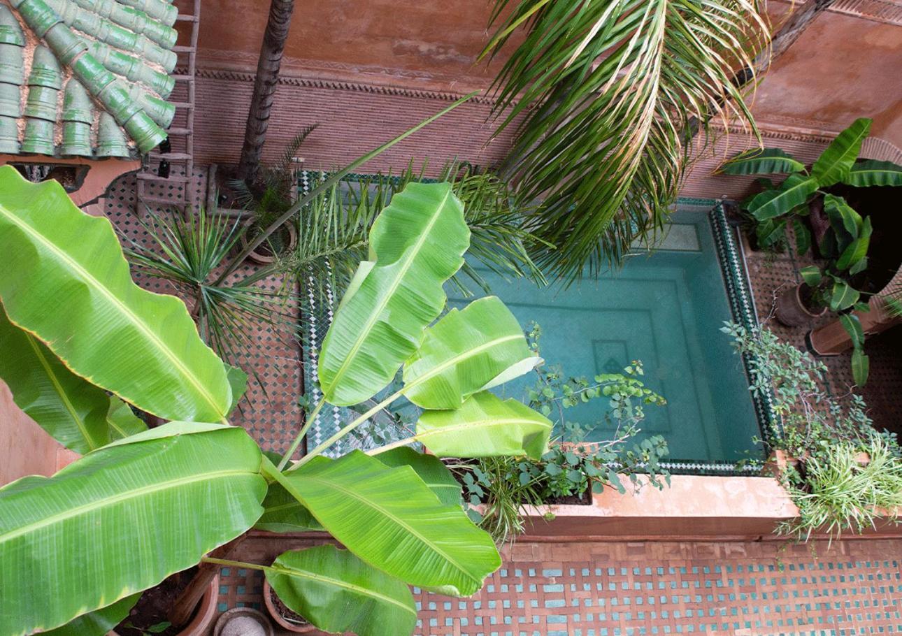 Riad Amirat Al Jamal Marrakesh Ngoại thất bức ảnh